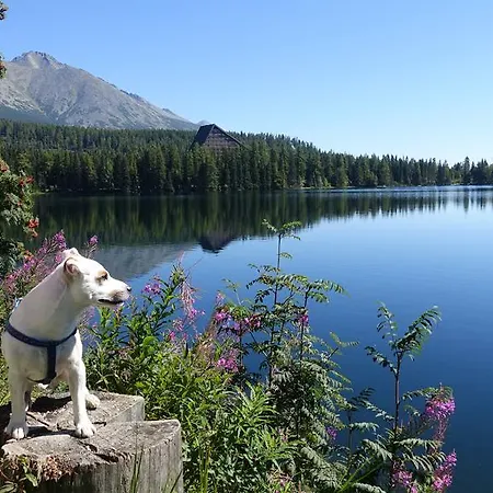 Panorama Rent * Strbske Pleso